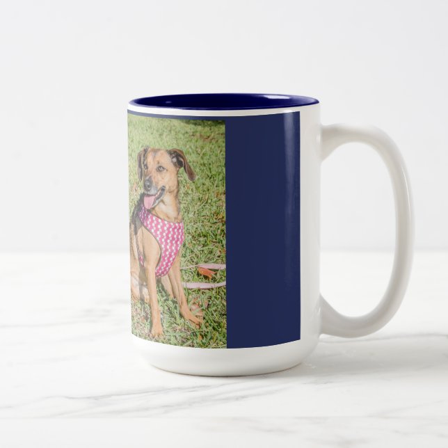 La tasse de l'amoureux des chiens, Coffe/tasse de (Droit)