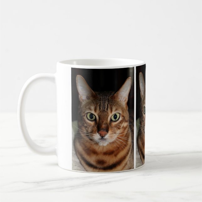La tasse de photo de chat de regarder Bengale, (Gauche)