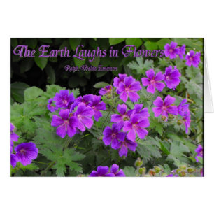 La terre rit en fleurs