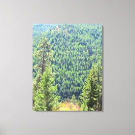 La Toile Enveloppée De La Forêt