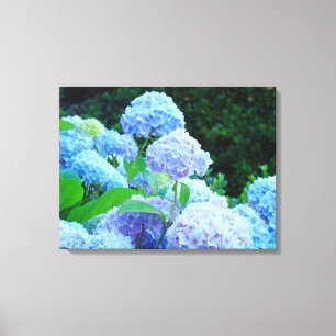 La toile florale d'hortensias bleus imprime la
