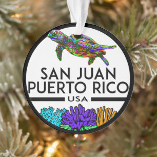 La tortue marine de San Juan Porto Rico