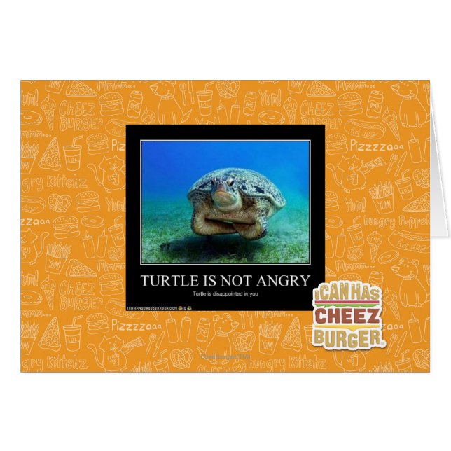 La tortue n'est pas en colère (Devant horizontal)