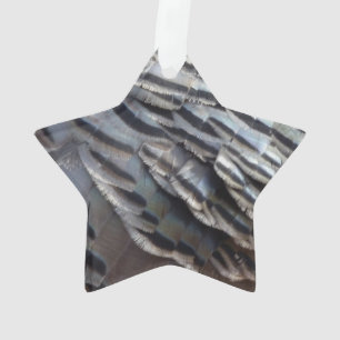 La Turquie sauvage plumes II Design Abstrait de la