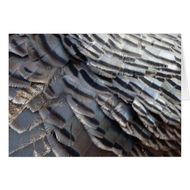 La Turquie sauvage plumes II Design Abstrait de la (Devant Horizontal)