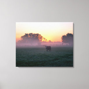 La vache rurale dans la toile de fond du lever du