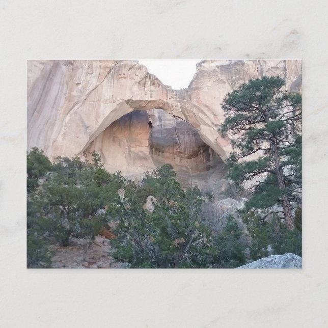 La Ventana Arch à El Malpais Nat'l Park Carte post (Devant)