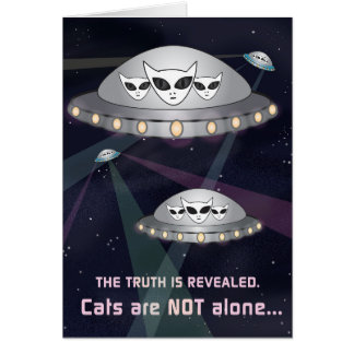 La vérité est révélée : les chats ne sont pas seul