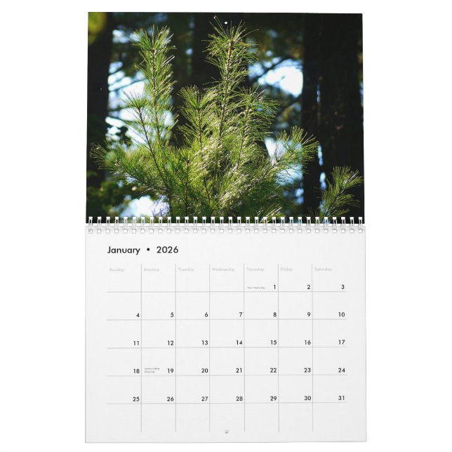 la vie 2015 autour de nous calendrier (Jan 2026)