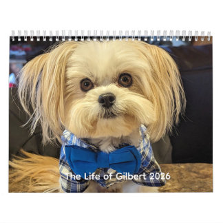 La Vie de Gilbert Calendrier 2026