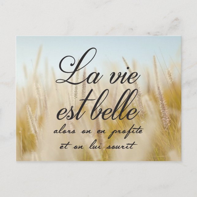 La vie est belle postkarte (Vorderseite)