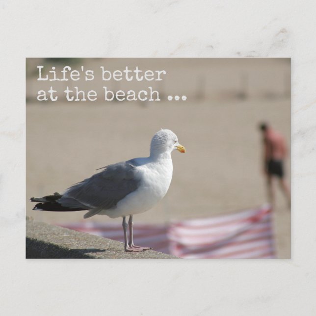 La vie est meilleure à la plage - Fun quote Carte  (Devant)