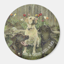 La vie est meilleure avec un aimant de laboratoire