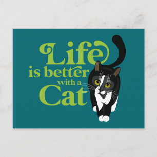 La vie est meilleure avec un chat Carte postale