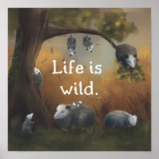 La vie est sauvage Opossum Opposites Poster