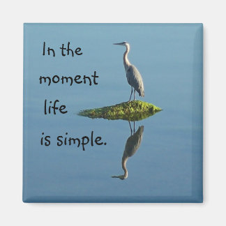 La vie est un simple aimant