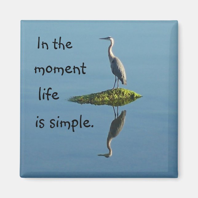 La vie est un simple aimant (Devant)