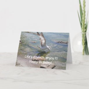 La vie est une carte d'anniversaire de mouette de 