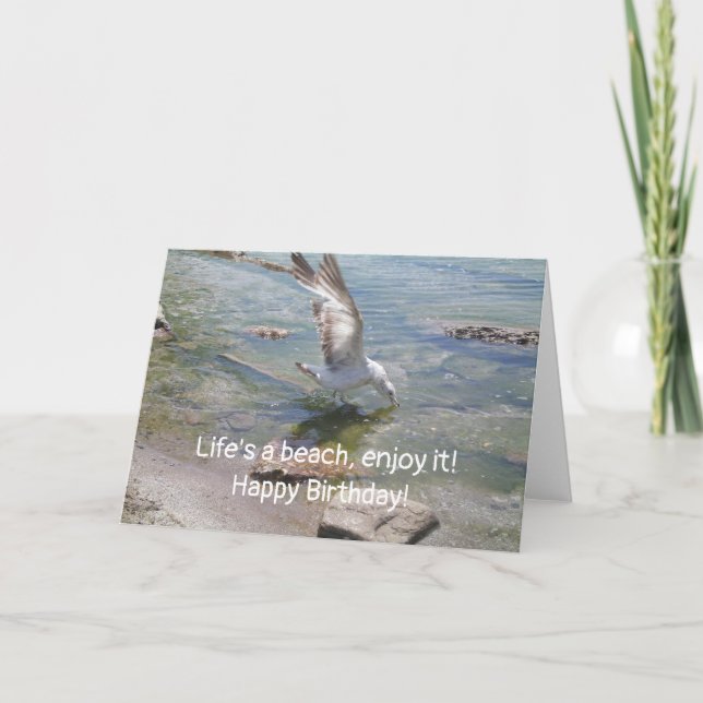 La vie est une carte d'anniversaire de mouette de  (Devant)