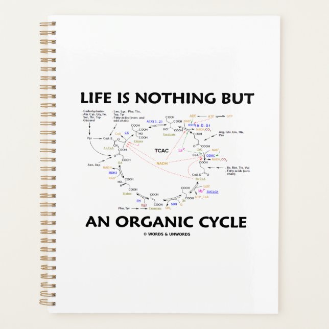 La Vie N'Est Rien D'Autre Qu'Un Humour À Cycle Bio (Devant)