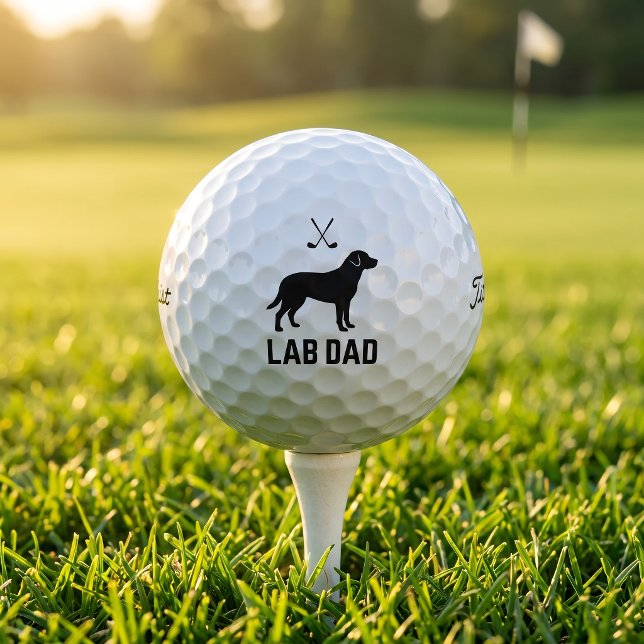 Lab Golf Dad Titleist Pro V1 Golfbälle Geschenk (Von Creator hochgeladen)
