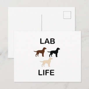 Lab Leben alle Farben Silhouetten Postkarte
