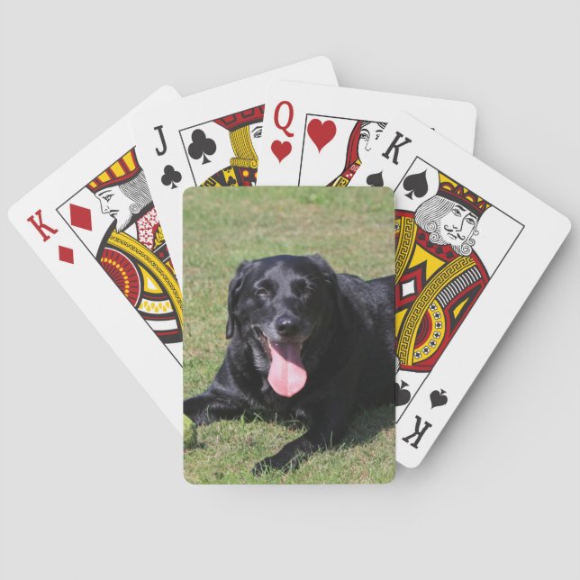 Lab-Leg Spielkarten (Rückseite)