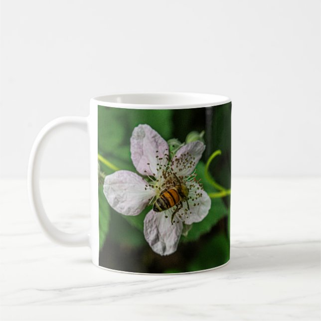L'abeille du miel pollinise une Mug de Fleur de Bl (Gauche)