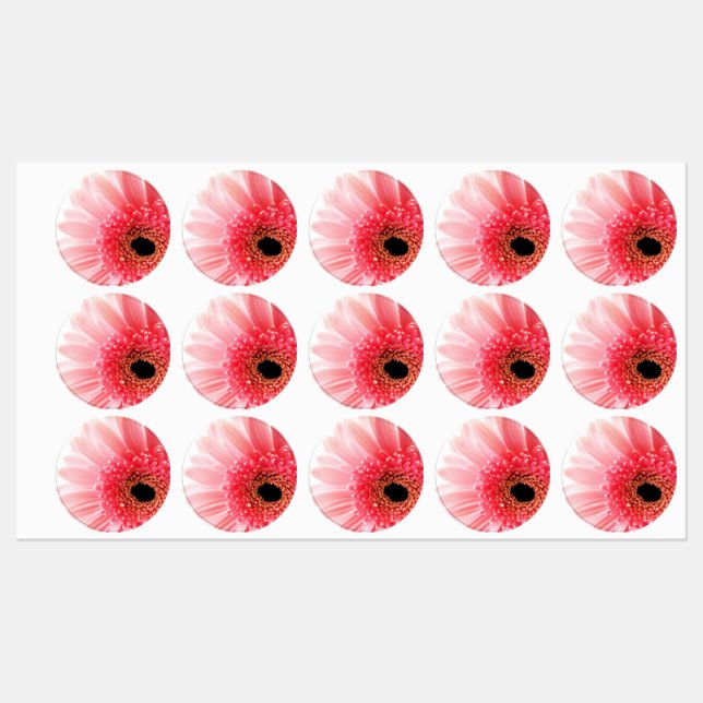Labels Etiketten (Blatt)