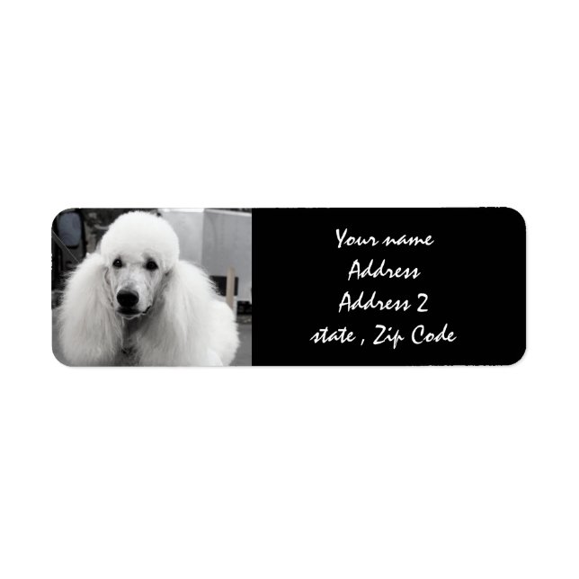 Labels für die weiße Poodle-Adresse (Vorne)