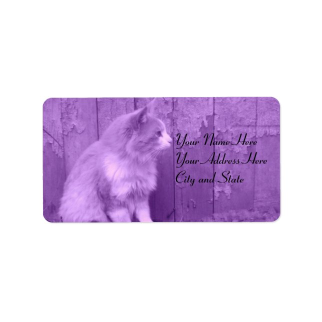 Labels für lila Cat-Adressen Adressaufkleber (Vorne)