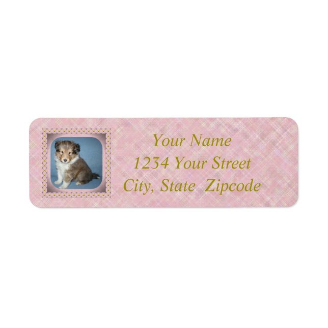 Labels für niedliche Shetland Sheepdog Welpenhunde (Vorne)