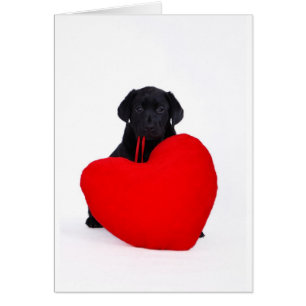 Laboratoire et coeur noirs