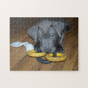 Labrabull-Welpen-Puzzle