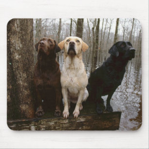 labrado Mausunterlage Mousepad