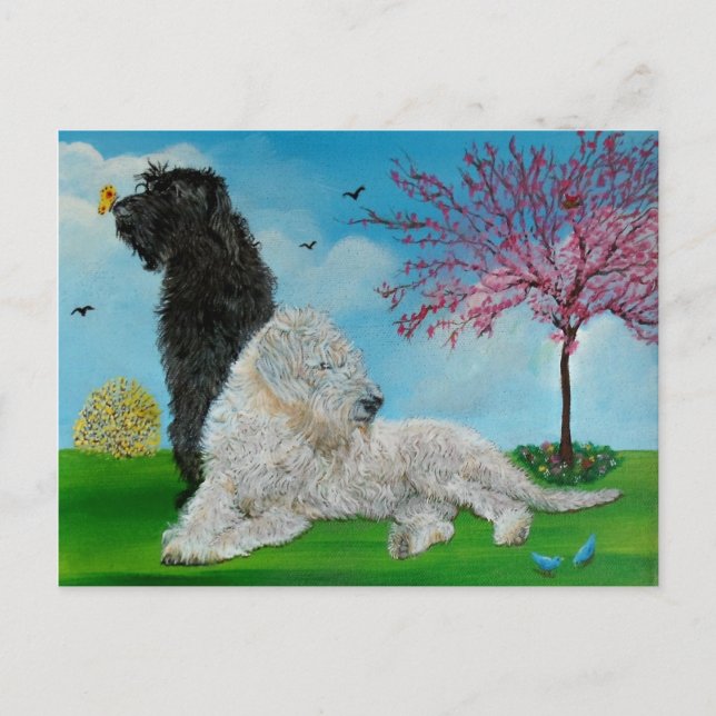 Labradoodfrühling Postkarte (Vorderseite)