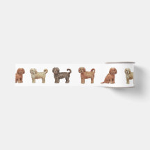 Labradoodle Band