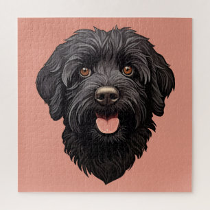 Labradoodle Black Dog