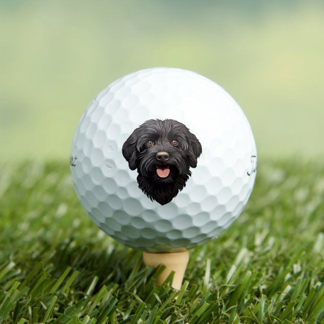 Labradoodle Black Dog Golfball (Insitu T-Shirt)
