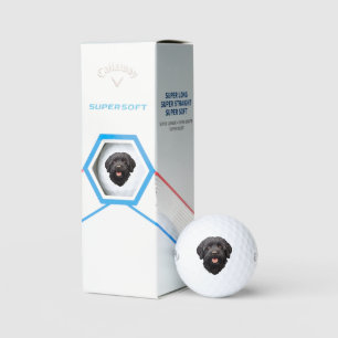 Labradoodle Black Dog Golfball