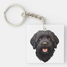 Labradoodle Black Dog