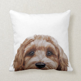 Labradoodle Brown Original Malerei von Mart Kissen