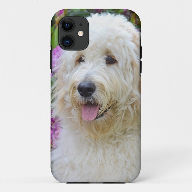 Labradoodle Case-Mate iPhone Hülle (Rückseite)