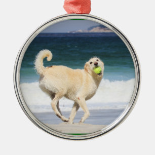 Labradoodle - glücklicher Tag auf dem Strand Silbernes Ornament