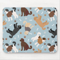 Labradoodle/Goldendoodle Knochen und Paare