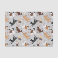 Labradoodle/Goldendoodle Knochen und Paare