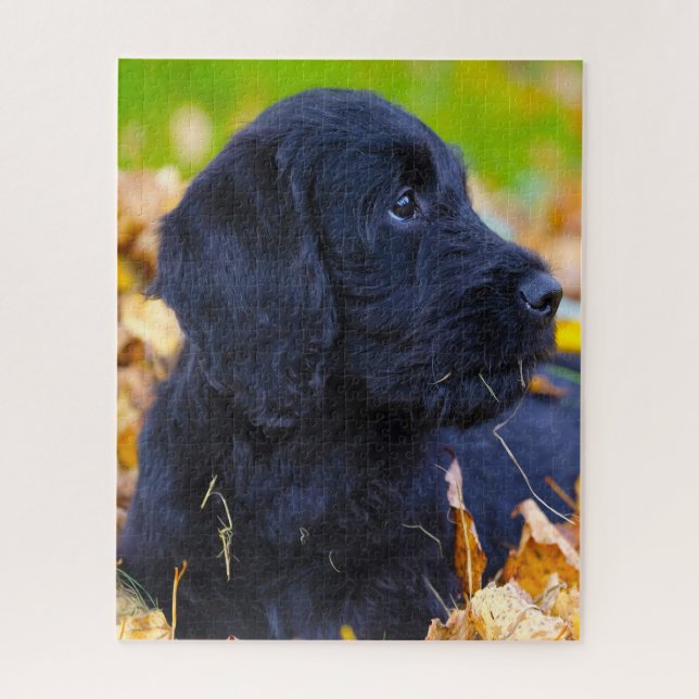 Labradoodle Hund. (Vertikal)