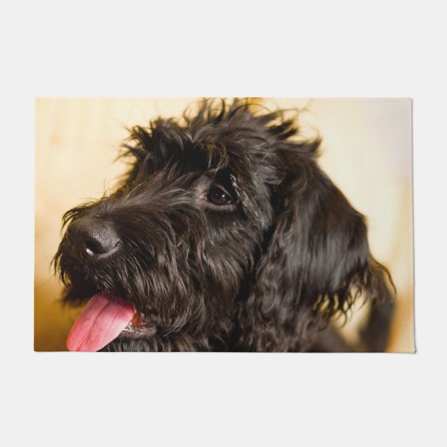 Labradoodle Hund. Fußmatte (Vorderseite)