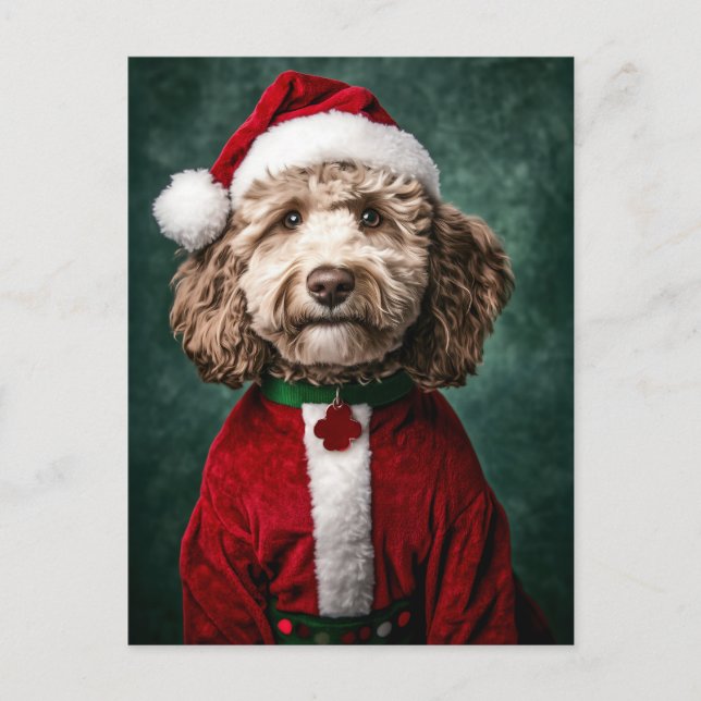Labradoodle im Weihnachtsfest Feiertagspostkarte (Vorderseite)