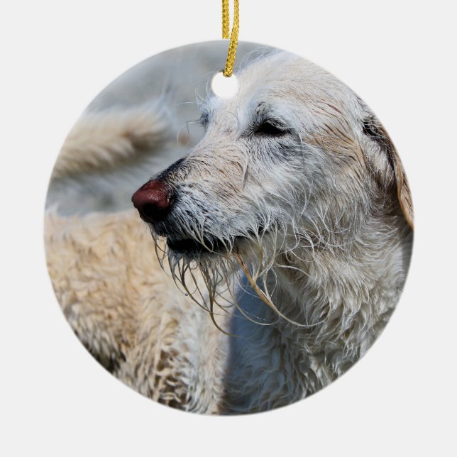 Labradoodle - Izzy Keramik Ornament (Vorne)